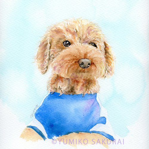 動物画、ペット画(本格水彩画)