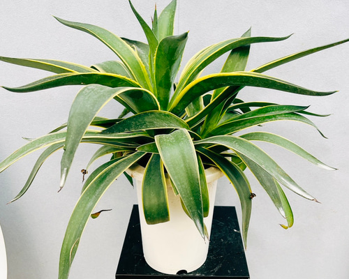 e8028b624191e09083fa3e0fa15060