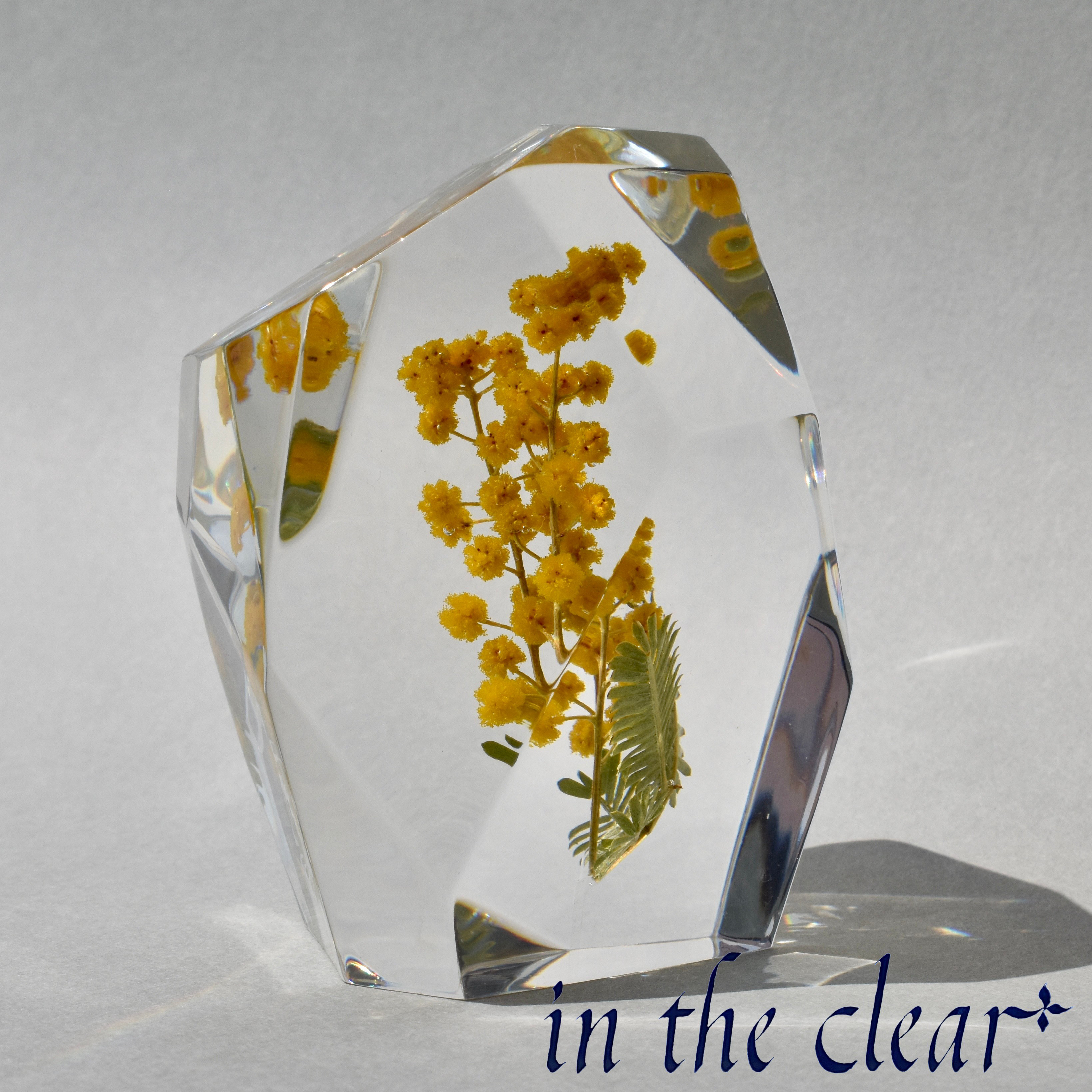 植物標本　ミモザ　黄色　レジン　鉱石型 4,510円