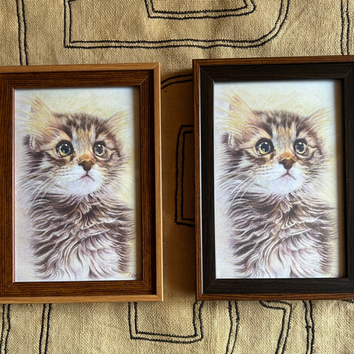 猫の絵 「朝日を浴びる子猫」複製 イラスト MAKIKO 通販