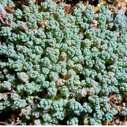 9bf36af0fcd3495eeca64bd8cc2b39