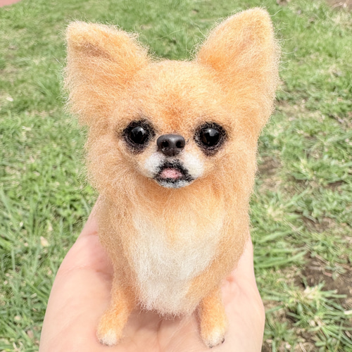 羊毛フェルト犬 ロングコートチワワ・チワワ ハンドメイド置物