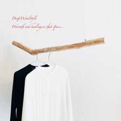 流木インテリアハンガーno.51 流木インテリアハンガーno.51