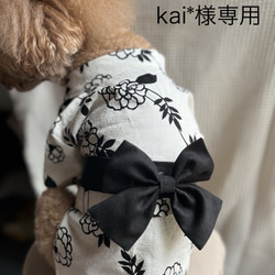 パラコードリード（青and水色） リード・首輪 BIGDIPPER 通販 13983684