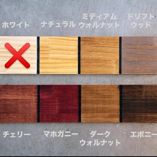 りゅう専用オーダーページ 植物棚 ライティングレール ボタニカル