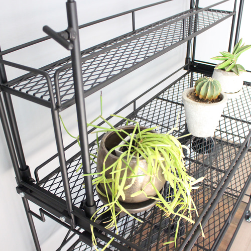 りゅう専用オーダーページ 植物棚 ライティングレール ボタニカル