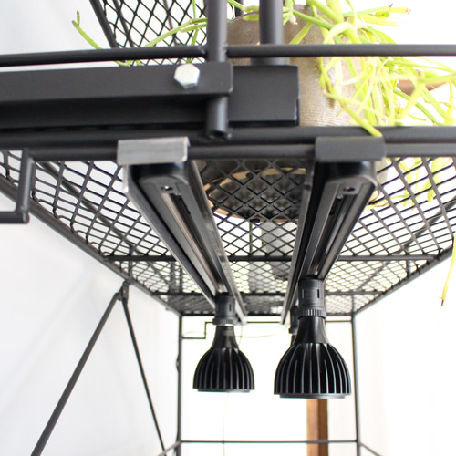 りゅう専用オーダーページ 植物棚 ライティングレール ボタニカル