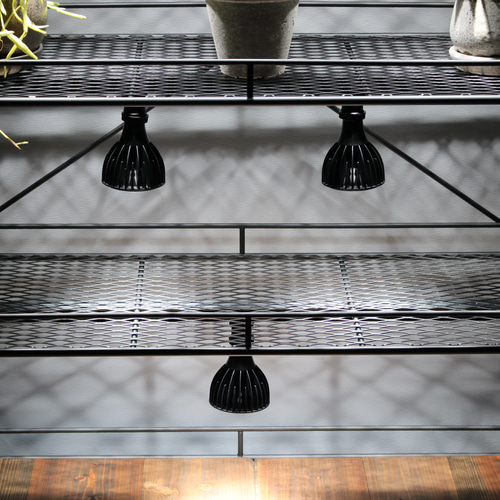 りゅう専用オーダーページ 植物棚 ライティングレール ボタニカル