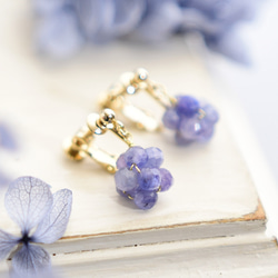 タンザナイト イヤリング・ノンホールピアス の人気通販｜Creema