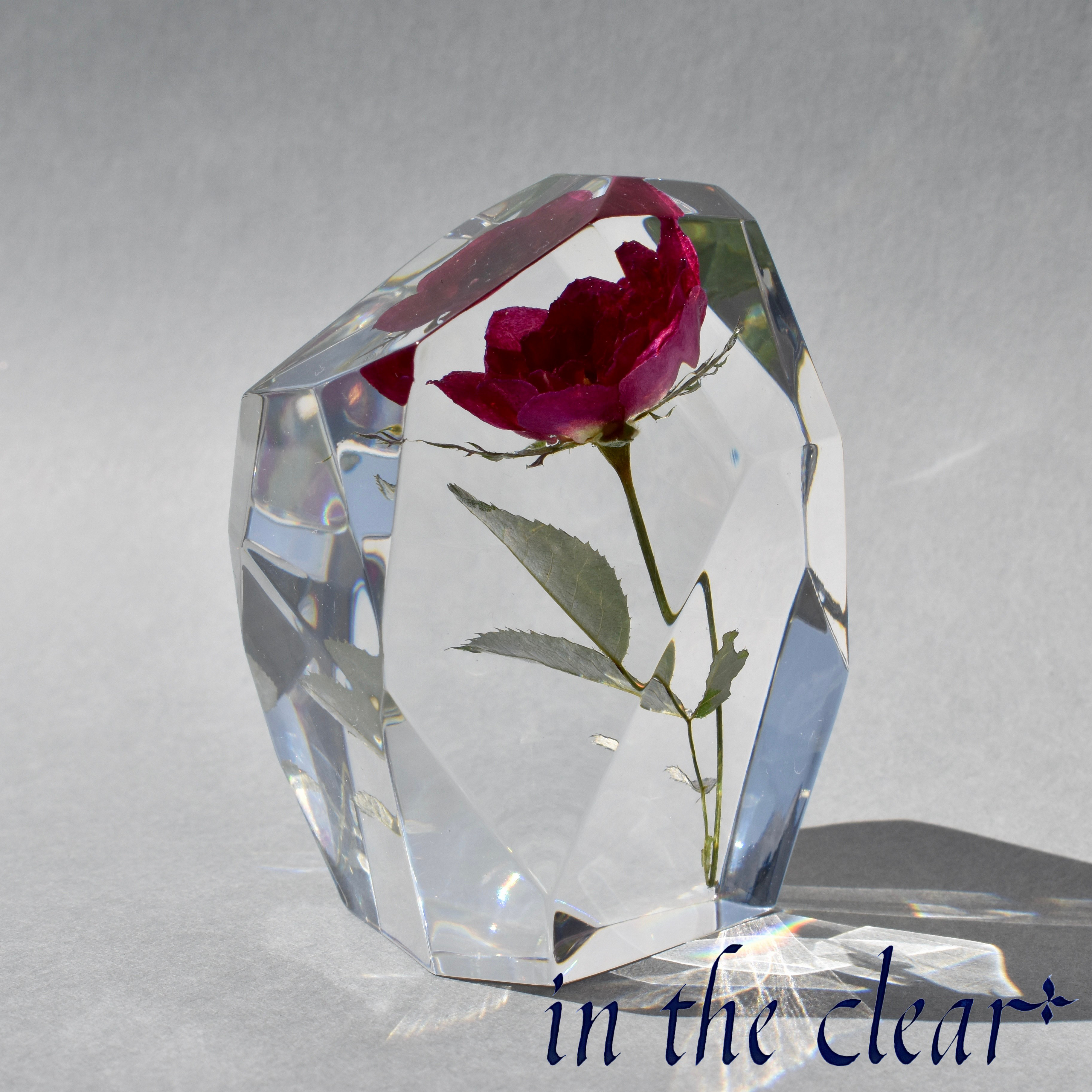 植物標本　薔薇　濃いピンク　レジン　鉱石型