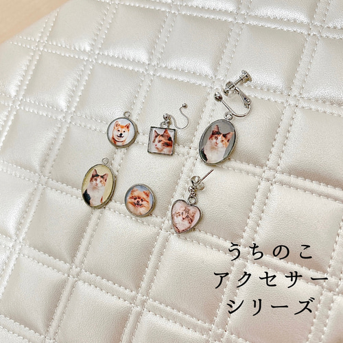 オーダーメイド】ペット ピアス イヤリング（両耳用）写真 うち
