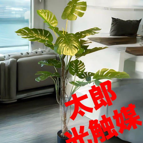 【2024秋冬新作】 光触媒 人工観葉植物 フェイクグリーン ウォールグリーン フラワー・ガーデニング