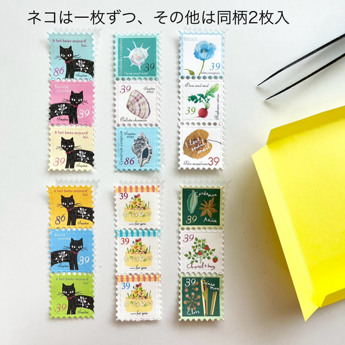 2024 秋の新作 cozyca アイテム①🍎 《CHIHIRO SONODA、いとい