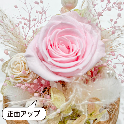 高級プリザーブドフラワー】ピンクローズ プリザーブドフラワードーム