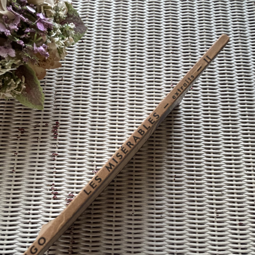 フランスアンティーク Classiques Larousse パープルカラーの本