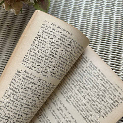 フランスアンティーク Classiques Larousse パープルカラーの本