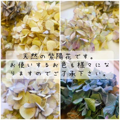 2サイズから選べる｜紫陽花だけのドライフラワーリース ナチュラル
