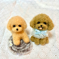羊毛フェルト　パピヨン　チベタンスパニエル　『専用』 羊毛フェルトキット 『ニードルフェルトでつくるベビーアニマル