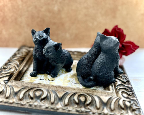 d041794f55e607f44ce6f6d30c2fc8