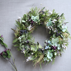 クリスマスローズと紫陽花のグリーンリース✳︎ドライフラワー◎23センチ