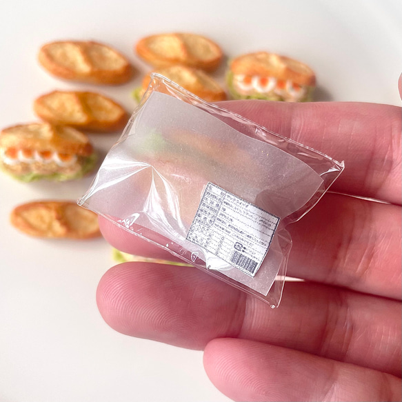  第8張的照片
