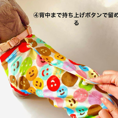 完成品】犬服 ハンドメイド ミニチュアダックス バックオープン タンク