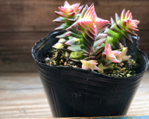 5512ab14271bec8584bdb3f9a0daf2