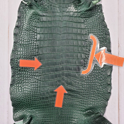 ワニ革  半艶マット  ダークキプロス No.C008352 8枚目の画像