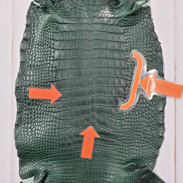 ワニ革  半艶マット  ダークキプロス No.C008352 8枚目の画像