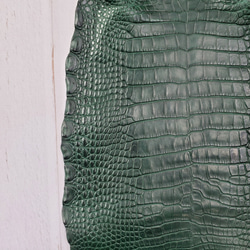 ワニ革  半艶マット  ダークキプロス No.C008352 13枚目の画像