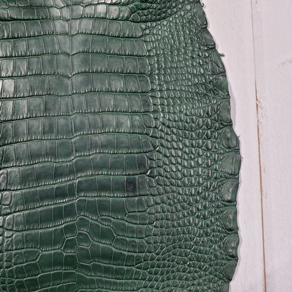 ワニ革  半艶マット  ダークキプロス No.C008352 14枚目の画像