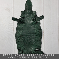 ワニ革  半艶マット  ダークキプロス No.C008352 2枚目の画像