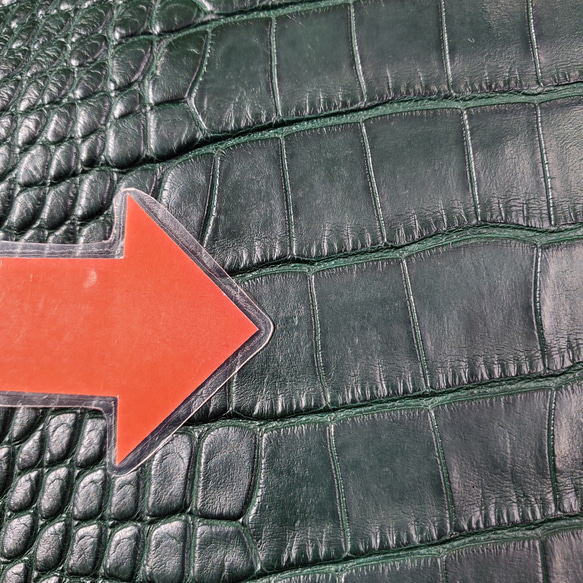 ワニ革  半艶マット  ダークキプロス No.C008352 9枚目の画像