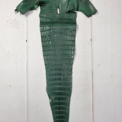 ワニ革  半艶マット  ダークキプロス No.C008352 5枚目の画像