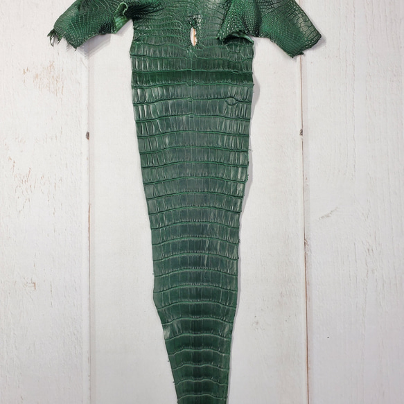 ワニ革  半艶マット  ダークキプロス No.C008352 5枚目の画像