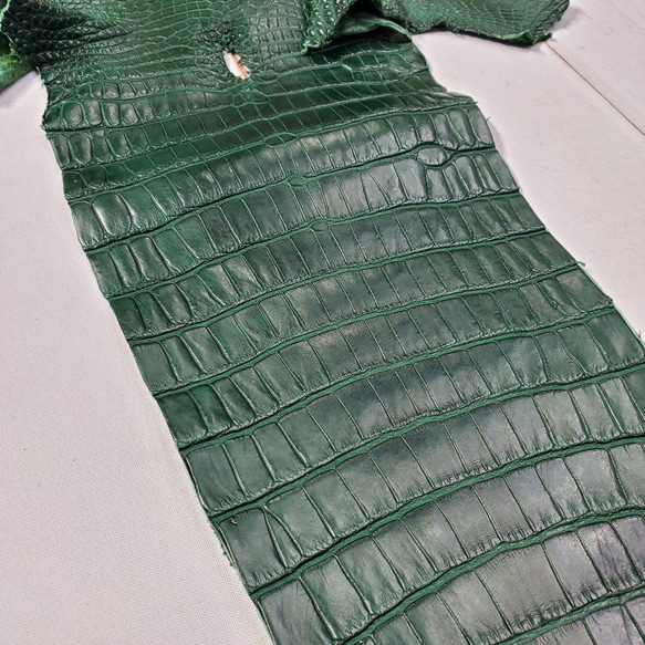 ワニ革  半艶マット  ダークキプロス No.C008352 15枚目の画像