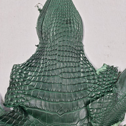 ワニ革  半艶マット  ダークキプロス No.C008352 3枚目の画像