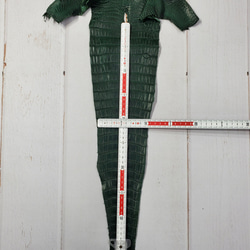 ワニ革  半艶マット  ダークキプロス No.C008352 7枚目の画像