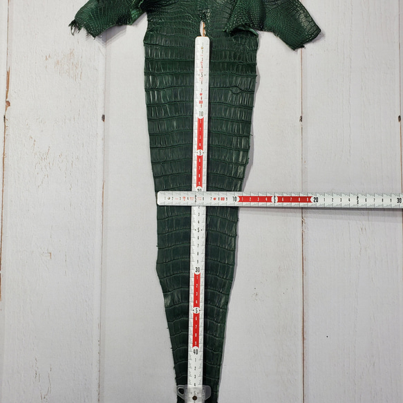 ワニ革  半艶マット  ダークキプロス No.C008352 7枚目の画像