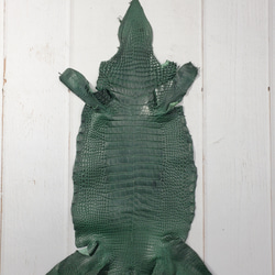 ワニ革  半艶マット  ダークキプロス No.C008352 1枚目の画像