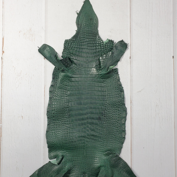 ワニ革  半艶マット  ダークキプロス No.C008352 1枚目の画像