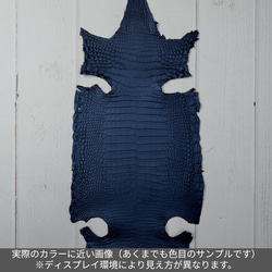 ワニ革  ビロード仕上げ  ロマンスブルー No.C008276 2枚目の画像