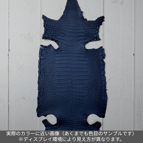 ワニ革  ビロード仕上げ  ロマンスブルー No.C008276 2枚目の画像