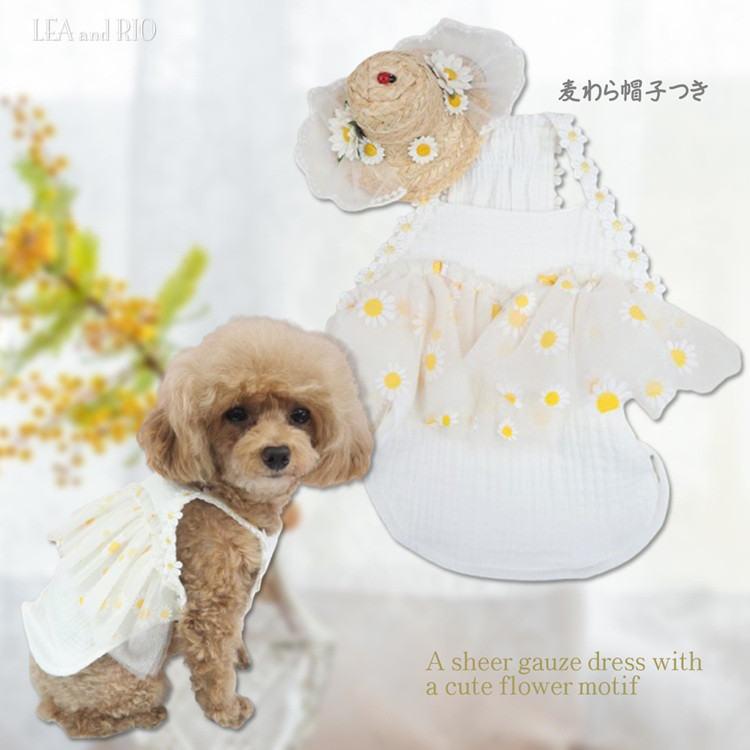 ワンピース ドレス ワンピ 花 透け感 パステルカラー ドッグウェア 小型犬用 犬服 猫服 犬 猫 ペット P565