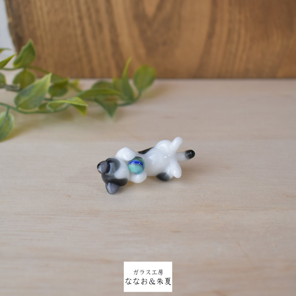 ボール遊び猫ちゃん　とんぼ玉