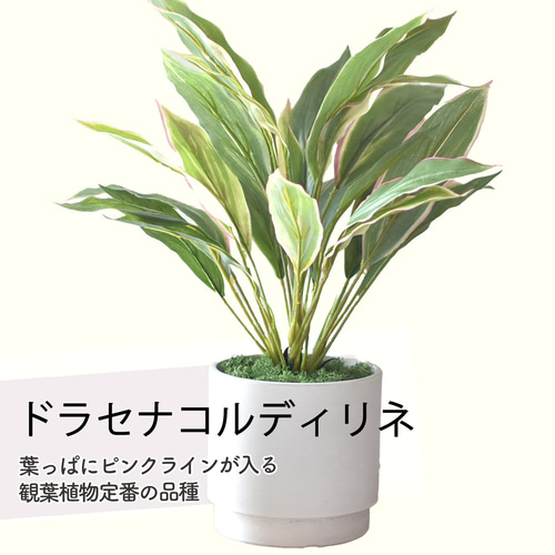 フェイクグリーン 鉢 植物 名入れ 観葉植物 記念日 誕生日 新築祝い