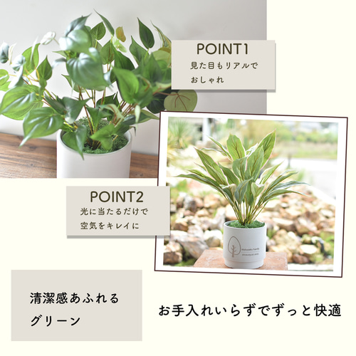 オーダーコメントページ フェイクグリーン オーダーコメントページ フェイクグリーン