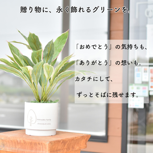 フェイクグリーン 鉢 植物 名入れ 観葉植物 記念日 誕生日 新築祝い