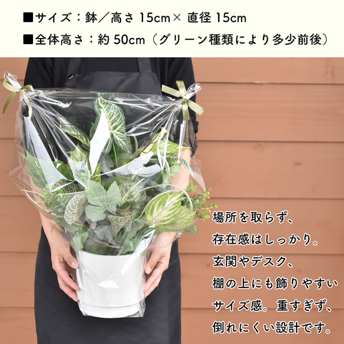 フェイクグリーン 鉢 植物 名入れ 観葉植物 記念日 誕生日 新築祝い