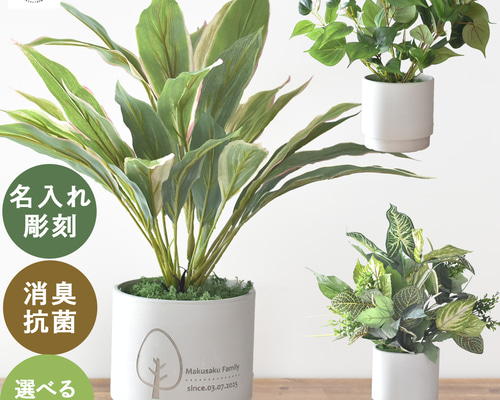 フェイクグリーン 鉢 植物 名入れ 観葉植物 記念日 誕生日 新築祝い
